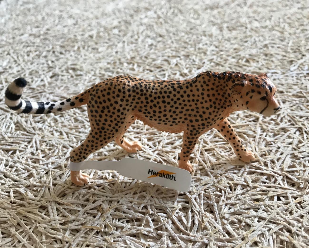 gepard